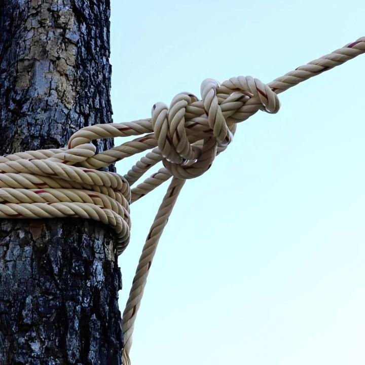 Haubanage d'arbres Auch